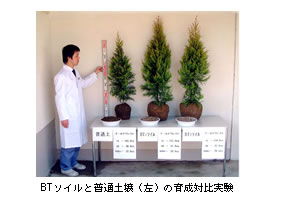 BTソイルと普通土壌の育成比較実験