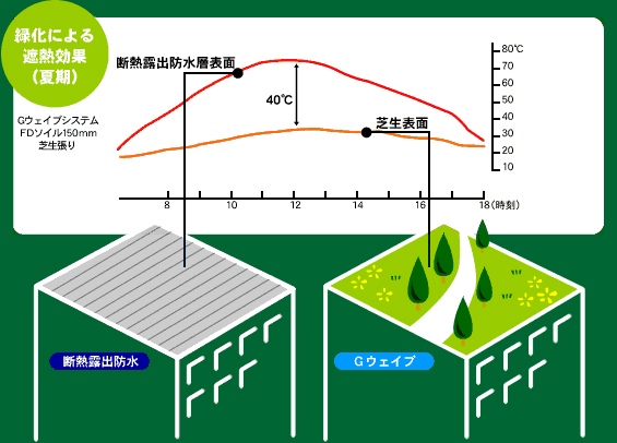 緑化による遮熱効果