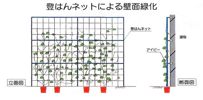 登はんネットによる壁面緑化