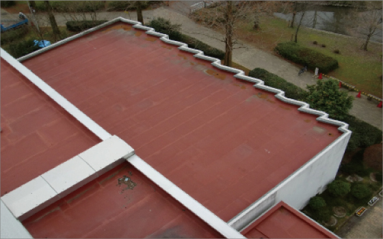 岐阜大学の校舎に屋上緑化が誕生