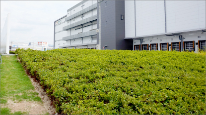 関西最大規模 ゲートウェイターミナル植栽工事