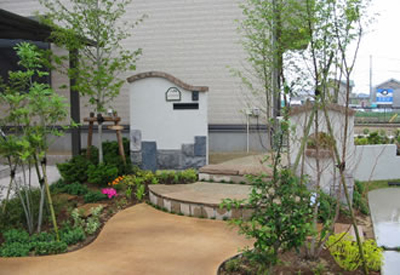 曲線と緑のアプローチ