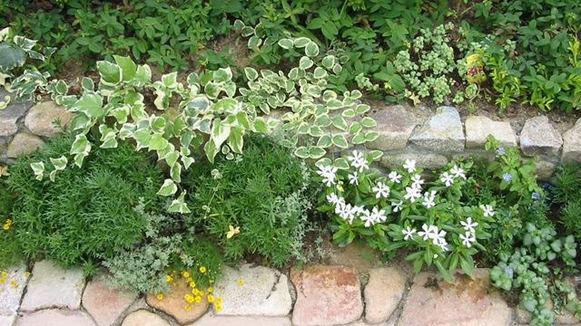 花がいっぱいの庭03