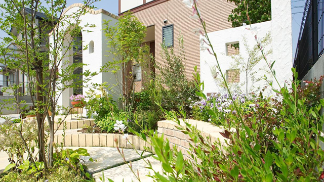 緑がいっぱいの庭02