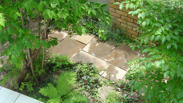 緑がいっぱいの庭04