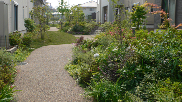 緑がいっぱいの庭06