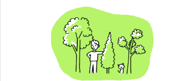 庭には草木より樹木を中心にしたい