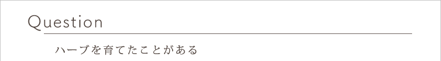 Question ハーブを育てたことがある