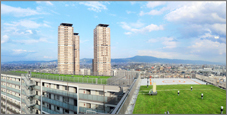 大阪府守口市の高層マンション屋上に芝生のカーペット