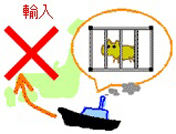 知らないでは済まされません"特定外来生物についてvol.1"