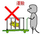 知らないでは済まされません"特定外来生物についてvol.1"