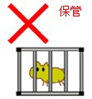 知らないでは済まされません"特定外来生物についてvol.1"