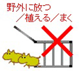 知らないでは済まされません"特定外来生物についてvol.1"