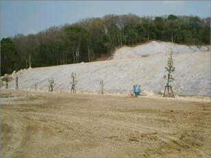 社会福祉法人 米山寮 植樹際1