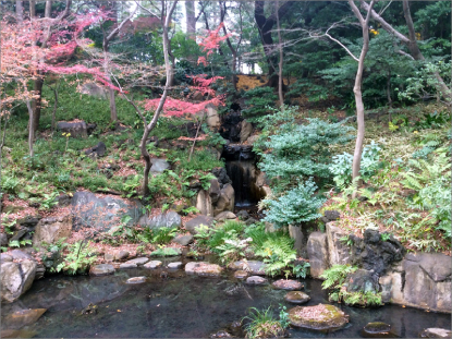 東京散策 旧古河庭園を見学して