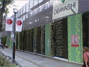 樹木医カトちゃんの「東京」見て歩き