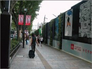 樹木医カトちゃんの「東京」見て歩き