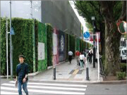 樹木医カトちゃんの「東京」見て歩き