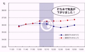 樹木医カトちゃんの「東京」見て歩き