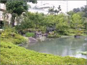 樹木医カトちゃんの「東京」見て歩き