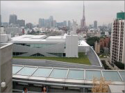 樹木医カトちゃんの「東京」見て歩き