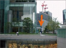 樹木医カトちゃんの「東京」見て歩き