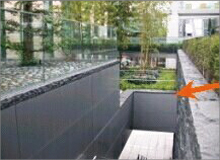 樹木医カトちゃんの「東京」見て歩き