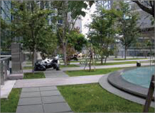 樹木医カトちゃんの「東京」見て歩き