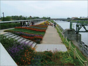 永田カメラマンの「浜名湖花博」