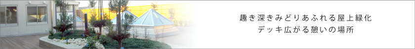 趣き深きみどりあふれる屋上緑化 デッキ広がる憩いの場所