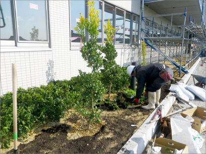 メディック3F屋上に日本庭園ができました