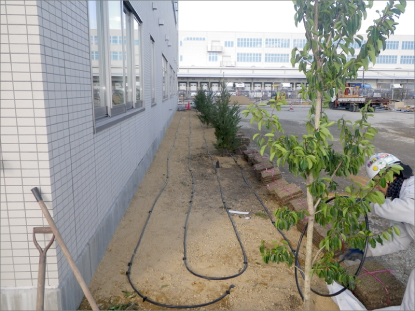 メディック3F屋上に日本庭園ができました