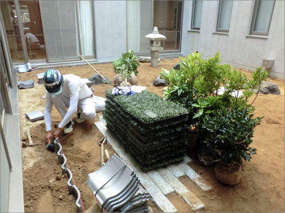 大阪府東大阪市の老人ホームに和みの屋上緑化と中庭