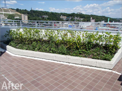 新オフィスの屋上緑化と外構の緑化工事