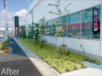 新オフィスの屋上緑化と外構の緑化工事