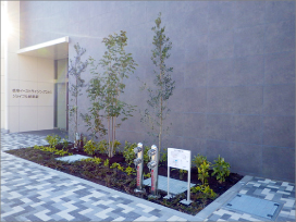 JR岐阜駅東複合施設の屋上緑化と外構植栽工事
