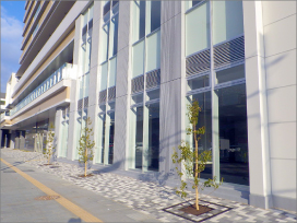 JR岐阜駅東複合施設の屋上緑化と外構植栽工事