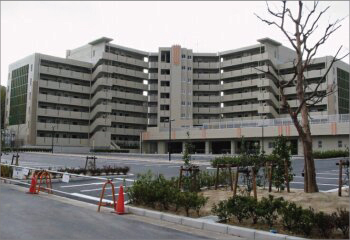 県営住宅屋上緑化