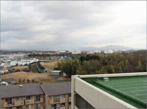 県営住宅屋上緑化