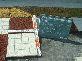 岐阜大学医学部図書館の屋上緑化