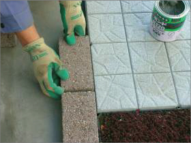 岐阜大学医学部図書館の屋上緑化