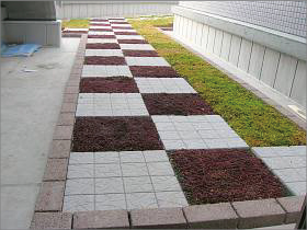 岐阜大学医学部図書館の屋上緑化