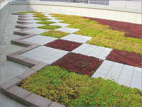 岐阜大学医学部図書館の屋上緑化
