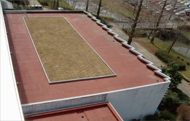 岐阜大学の校舎に屋上緑化が誕生
