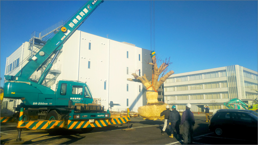 大サクラ記念樹の移植工事