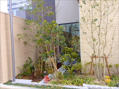 街づくりが進むマンションの中庭と外構植栽工事