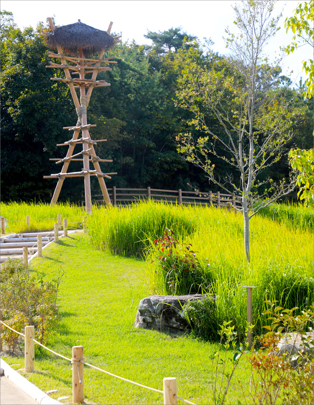 ジブリパーク整備事業 もののけの里