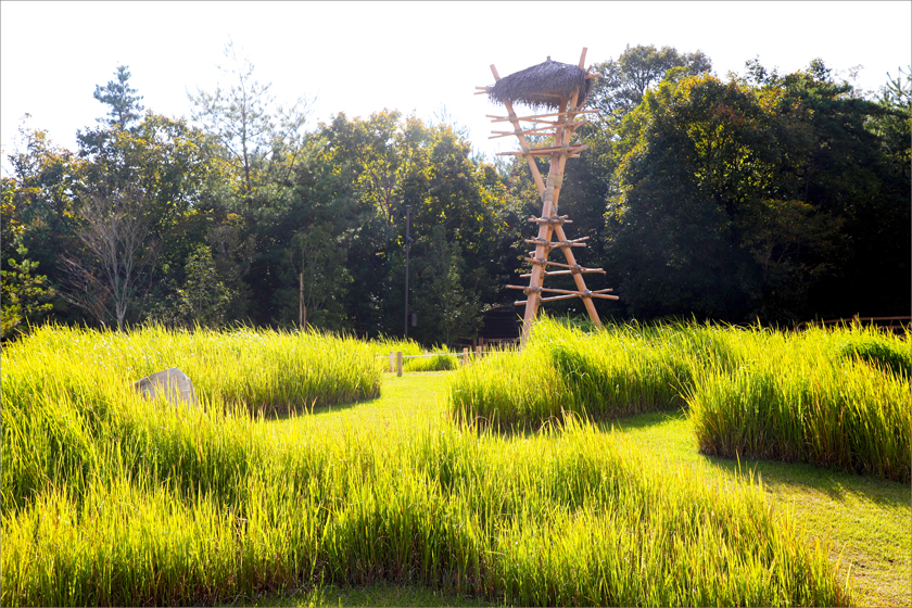 ジブリパーク整備事業 もののけの里