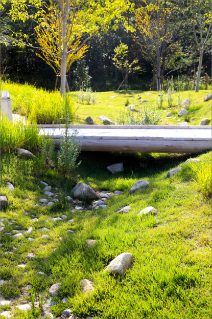 ジブリパーク整備事業 もののけの里