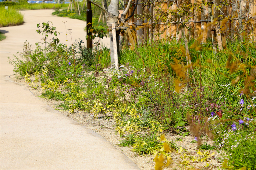 ジブリパーク整備事業 もののけの里